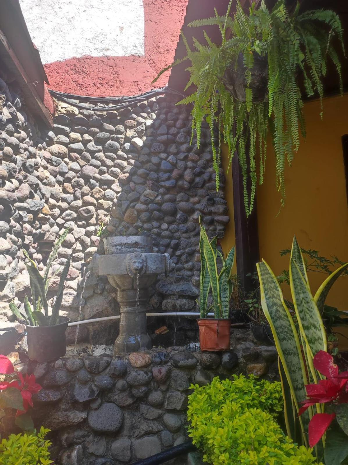 Casa Nikte Hotel Antigua Extérieur photo